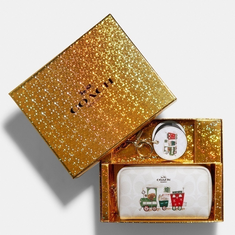 Small Boxy Cosmetic Case And Mirror Bag Charm In Signature Canvas With Train